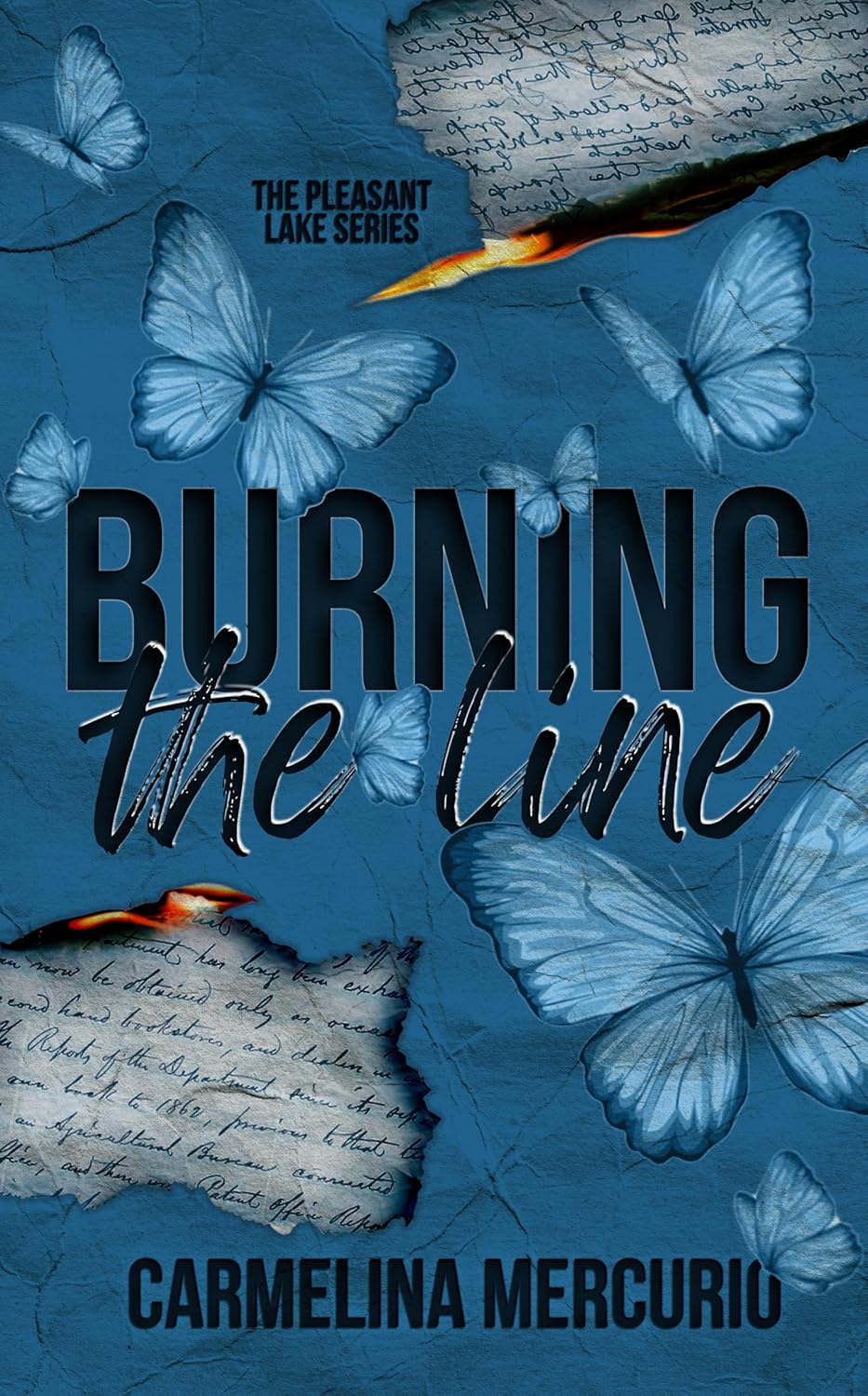Romance Review: ‘Burning the Line’ by Carmelina Mercurio